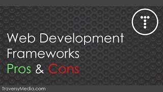 Web Development Framework Pros amp Cons [upl. by Sinegra]