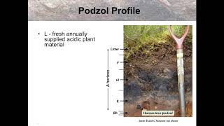 Podzol soils [upl. by Spooner]