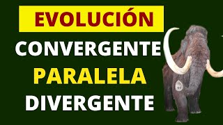 TIPOS DE EVOLUCIÓN convergente paralela y divergente [upl. by Cardwell]