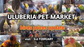 ULUBERIA PET MARKET BIRDS PRICES UPDATE  3rd FEBRUARY cheapestprice uluberiapetmarket viral [upl. by Gregoire510]