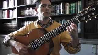 1992 Paulino Bernabe Classical Guitar Modelo 50  Wild Mountain Thyme [upl. by Rosco295]