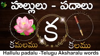 HALLULU PADALU  How to Write Telugu hallulu With WORDS  learn telugu words  Telugu vanam [upl. by Bergman]