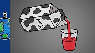 Milk Is Just Filtered Blood [upl. by Sachsse]