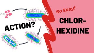 All About Chlorhexidine Mouthwash  PERIODONTOLOGY [upl. by Oram]