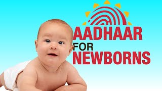 You need just 2 documents to enroll your child for Aadhaar card—check out these simple steps  UIDAI [upl. by Venetia]