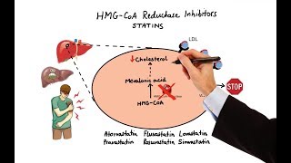 Pharmacology  DRUGS FOR HYPERLIPIDEMIA MADE EASY [upl. by Htebzil593]