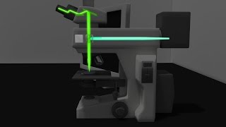 Fluorescence Microscopy Animation [upl. by Aidil220]