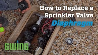 How to Replace a Sprinkler Valve Diaphragm [upl. by Er]