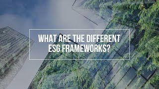 What Are the Different ESG Frameworks [upl. by Bullis]