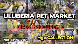 ULUBERIA PET MARKET BIRDS PRICES UPDATE 5th OCTOBER PART 1 cheapestprice uluberiapetmarket [upl. by Deenya779]