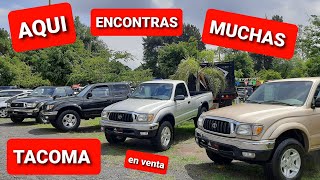 tacoma muchas en venta Toyota precios tianguis Guadalajara [upl. by Wendolyn310]