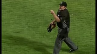 MLB Fan Ejections [upl. by Tereb]