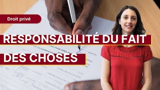 L2 équipe 1  La responsabilité du fait des choses [upl. by Dexter]