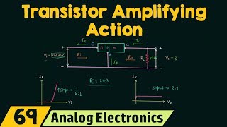 Transistor Amplifying Action [upl. by Yarrum867]