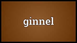 Ginnel Meaning [upl. by Clayberg]