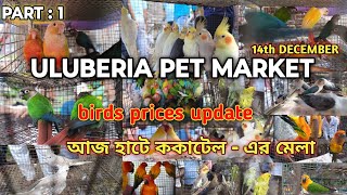 ULUBERIA PET MARKET BIRDS PRICES UPDATE ON 14th DECEMBER PART 1 uluberiapetmarket cheapestprice [upl. by Mima]