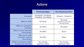 Antiarrhythmics Lesson 5  Calcium Channel Blockers [upl. by Thom458]