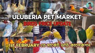 ULUBERIA PET MARKET BIRDS PRICES UPDATE ON 1st FEBRUARY PART 1 uluberiapetmarket cheapestprice [upl. by Adamo]