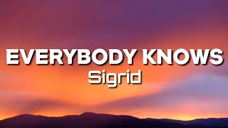 Sigrid  Everybody Knows Lyrics [upl. by Eylhsa]