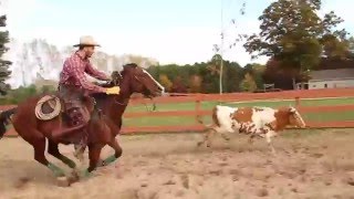 Paradise Ranch Cattle Work [upl. by Needan]