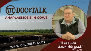 DocTalk Ep 211  Anaplasmosis in Cows [upl. by Navnod996]