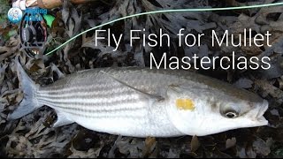 Part 2  Mullet Masterclass  UK Saltwater fly fishing [upl. by Flanna364]