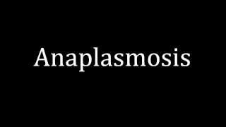 How to pronounce Anaplasmosis [upl. by Teyugn]