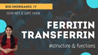 Ferritin  Transferrin  storage and transport of iron  chemicos academy [upl. by Hsirehc837]