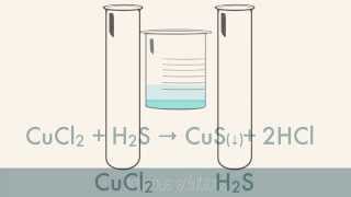 Reactions in Aqueous Solutions [upl. by Pollack]