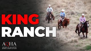 King Ranch Wins Top AQHA Honor [upl. by Flavian]