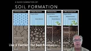 Soil Formation 5 Soil Factors Part 1 [upl. by Aihtebat]