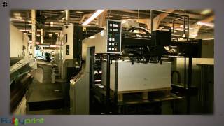 Litho Printing Process [upl. by Eirb]