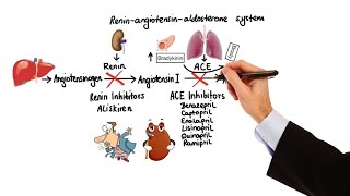 Pharmacology  HYPERTENSION amp ANTIHYPERTENSIVES MADE EASY [upl. by Henebry82]