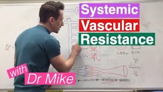 Systemic Vascular Resistance Total Peripheral Resistance  Cardiology [upl. by Eeuqram]