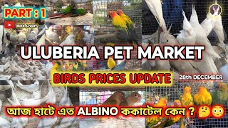 ULUBERIA PET MARKET BIRDS PRICES UPDATE ON 28th DECEMBER PART 1 cheapestprice uluberiapetmarket [upl. by Teyugn362]