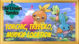 How to get Torchic Treecko and Mudkip in Pokémon Sword and Shield The Crown Tundra  Hoenn Starter [upl. by Nivlem]