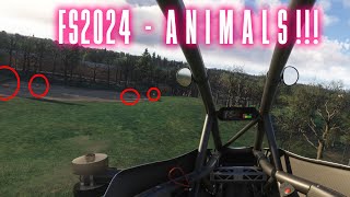 Finding ANIMALS in MSFS2024 [upl. by Letitia]