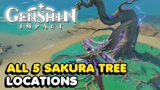 All 5 Sakura Tree Locations In Genshin Impact Sakura Arborism World Quest Guide [upl. by Merrow]