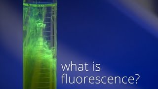 What is Fluorescence [upl. by Coe368]