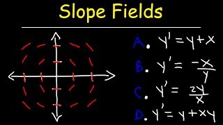 Slope Fields  Calculus [upl. by Goodhen597]