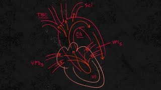 Cardiología Insuficiencia cardiaca quotizquierda y derechaquot [upl. by Balling]