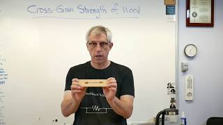 Cross Grain Strength of Wood  Brain Waves [upl. by Airod]