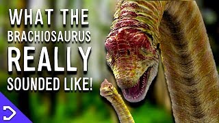 What Did The Brachiosaurus REALLY Sound Like [upl. by Ecirrehs]