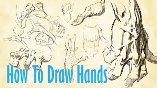 How To Draw HANDS [upl. by Shelagh]