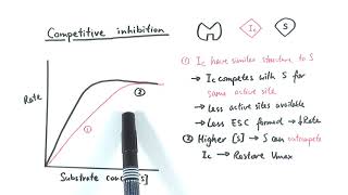 AS Biology  Enzyme inhibition OCR A Chapter 43 [upl. by Ecnedurp]