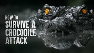 How to Survive a Crocodile Attack [upl. by Anirres]