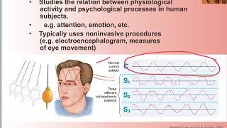 15 Biopsychology Divisions [upl. by Hooker]