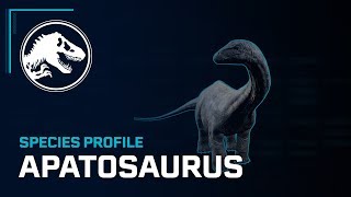 Species Profile  Apatosaurus [upl. by Vivyan]