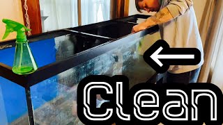 Clean Old Aquarium Glass  Mineral Buildup amp Stains [upl. by Evers598]