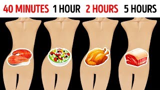 How Long Foods Stay In Your Stomach [upl. by Ellsworth]